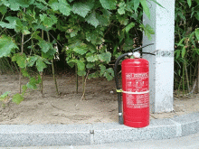郑州消防中控证在哪里考-报名报考条件