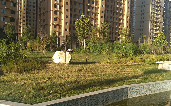 一级建造师培训