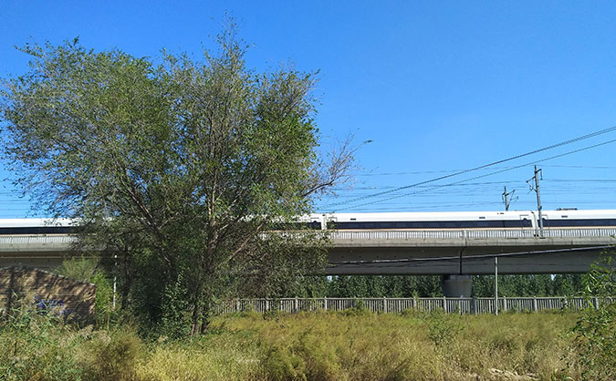 邯郸经济管理中专学校_高铁乘务专业