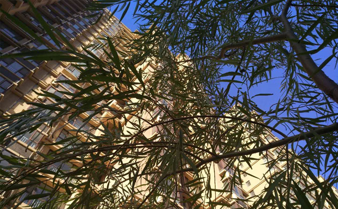 北京朝阳区建筑BIM培训班哪家好