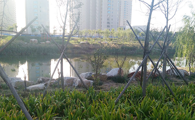 东营优路建筑在培训学校