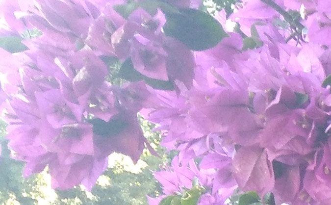 江苏健康管理师考点分布 – 在哪里