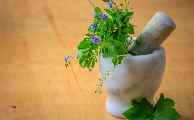 开封健康营养师培训机构有哪些 – 招生多少钱