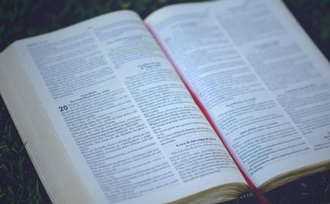 重庆九龙坡网上学英语哪里好_重庆九龙坡英语培训机构