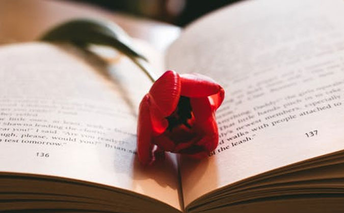 成都成华区网上学英语哪里好_成都成华区英语培训机构