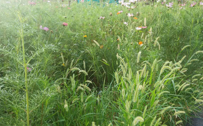 临汾中级经济师培训班_哪个好_多少钱