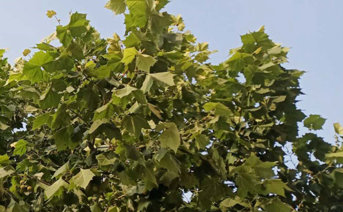 榆林中级经济师培训班_哪个好_多少钱