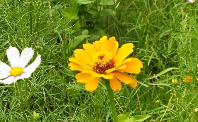 张掖中级经济师培训班_哪个好_多少钱