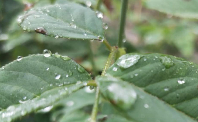 广州中级经济师培训班_哪个好_多少钱