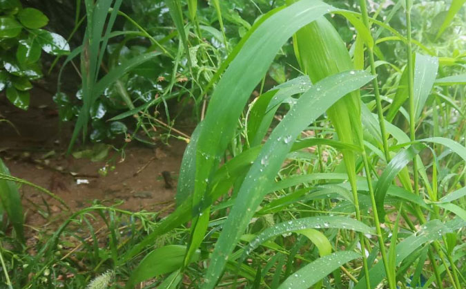 珠海中级经济师培训班_哪个好_多少钱