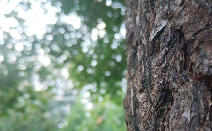 呼和浩特中级经济师培训班_哪个好_多少钱