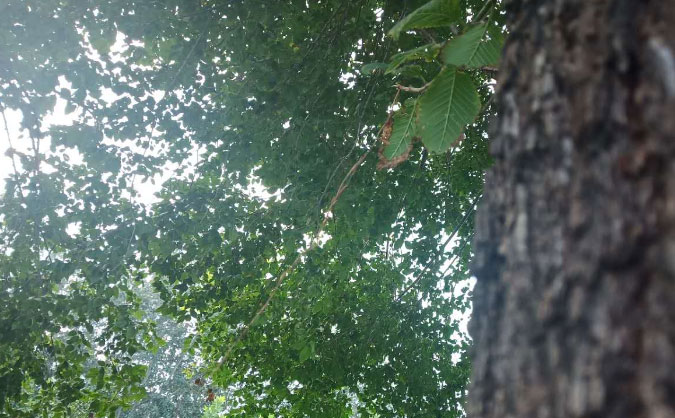 包头中级经济师培训班_哪个好_多少钱