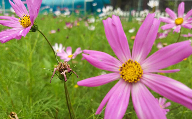兰州中级经济师培训班_哪个好_多少钱
