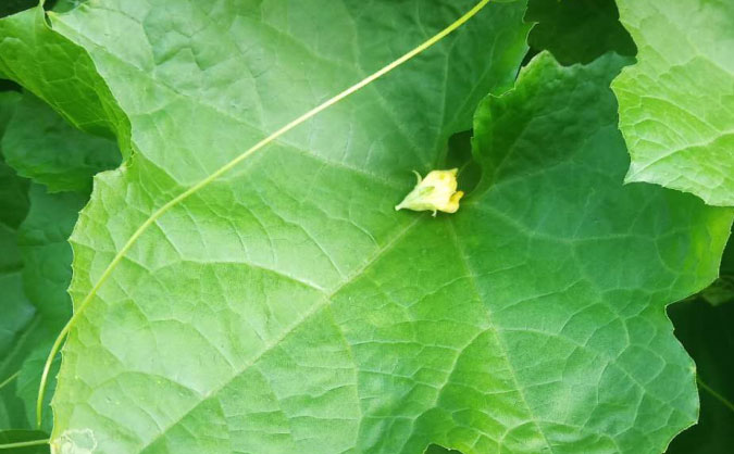 丹东中级经济师培训班_哪个好_多少钱