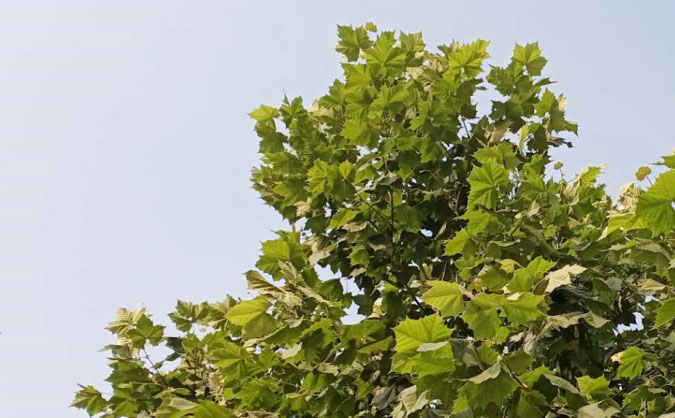 盘锦中级经济师培训班_哪个好_多少钱