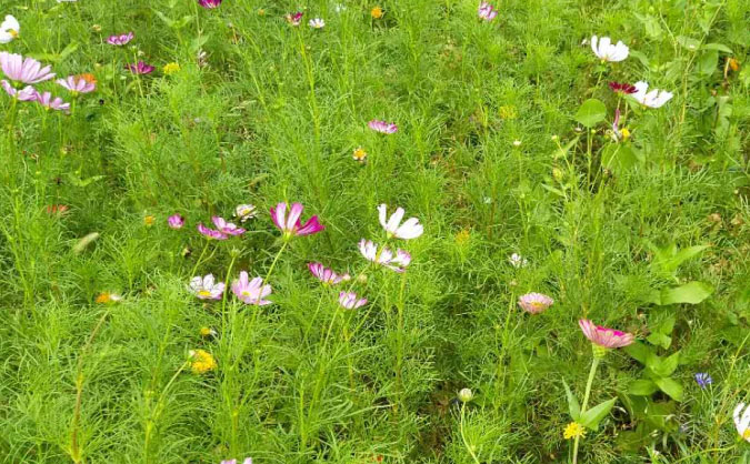 长春中级经济师培训班_哪个好_多少钱     