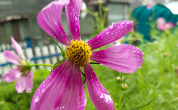 青岛中级经济师培训班_哪个好_多少钱