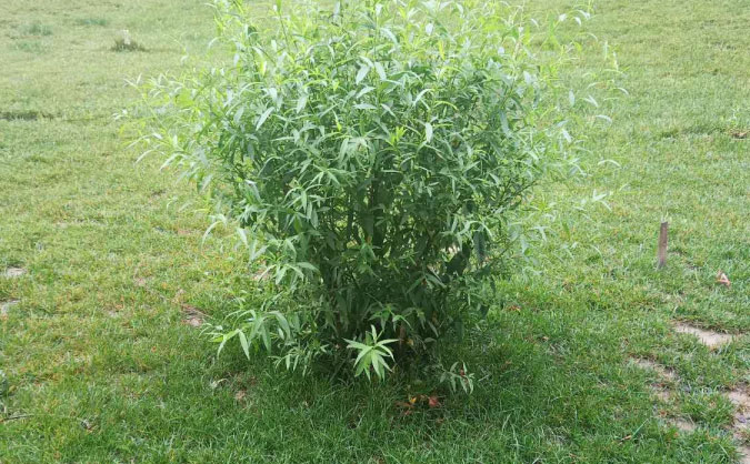 烟台中级经济师培训班_哪个好_多少钱