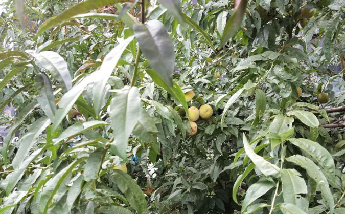 枣庄中级经济师培训班_哪个好_多少钱