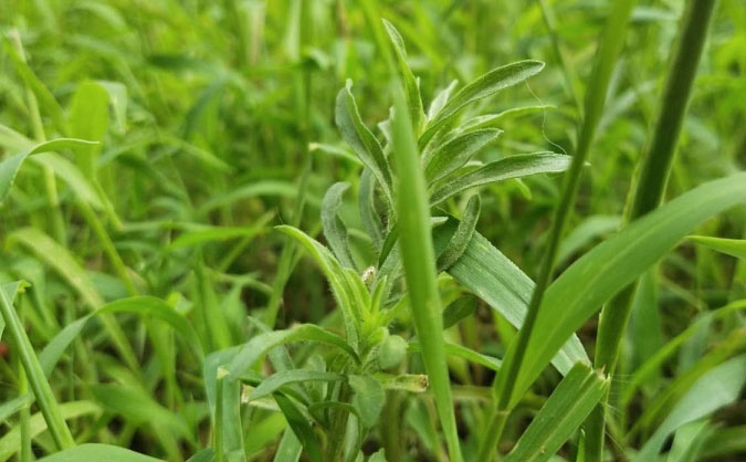 滨州中级经济师培训班_哪个好_多少钱