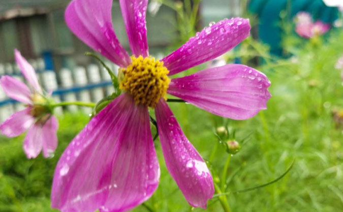 苏州中级经济师培训班_哪个好_多少钱