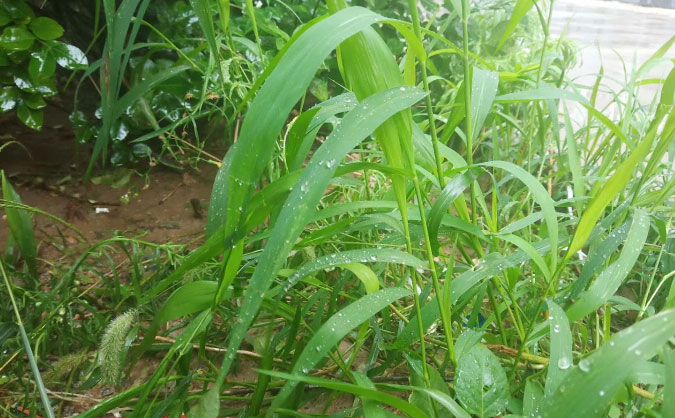 绍兴中级经济师培训班_哪个好_多少钱