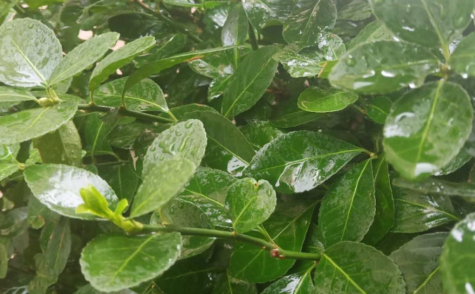 台州中级经济师培训班_哪个好_多少钱