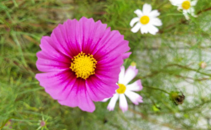 盐城中级经济师培训班_哪个好_多少钱