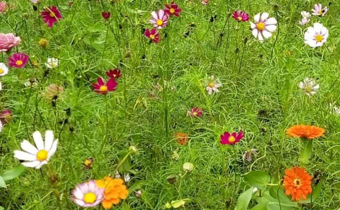 泰州中级经济师培训班_哪个好_多少钱