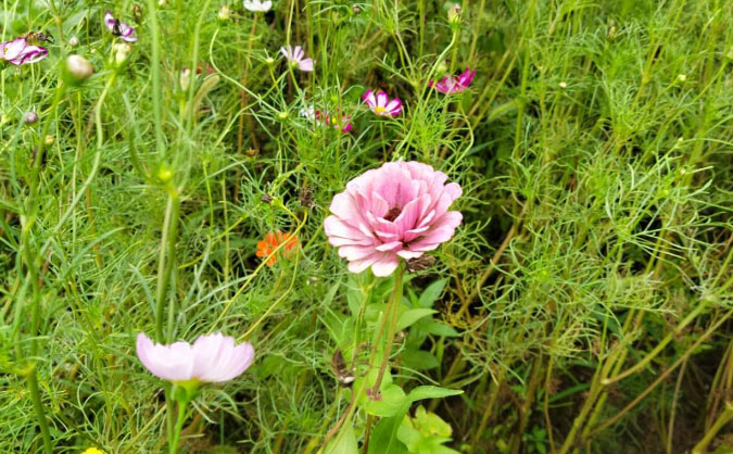 徐州中级经济师培训班_哪个好_多少钱