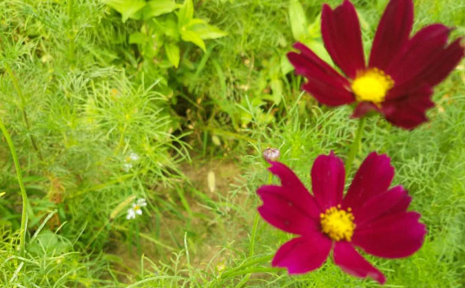 常州中级经济师培训班_哪个好_多少钱