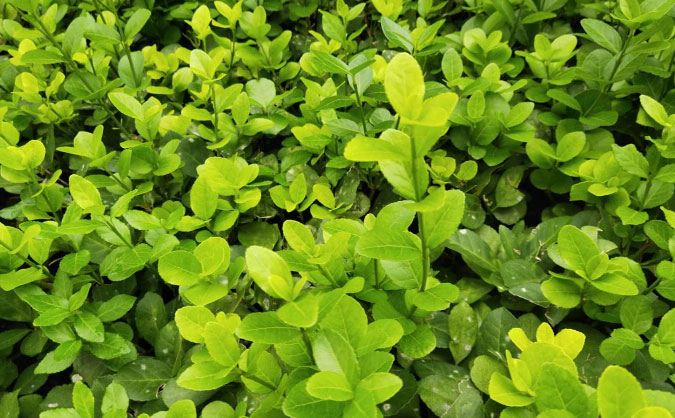 吉安中级经济师培训班_哪个好_多少钱