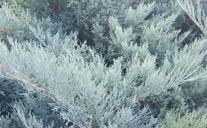 衡阳中级经济师培训班_哪个好_多少钱