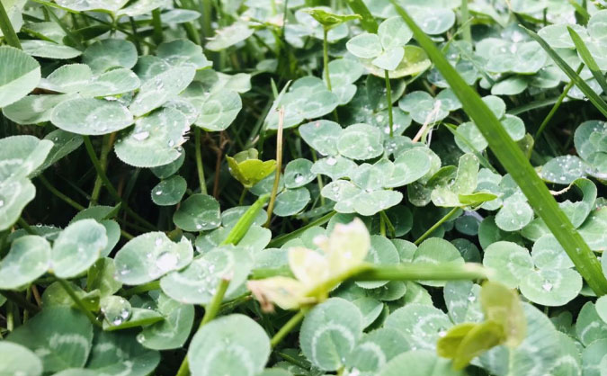 益阳中级经济师培训班_哪个好_多少钱