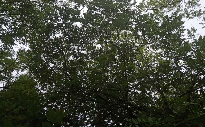 郴州中级经济师培训班_哪个好_多少钱