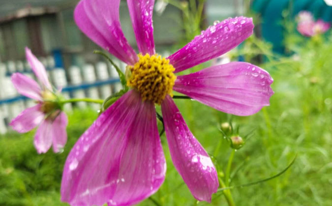 贵阳中级经济师培训班_哪个好_多少钱