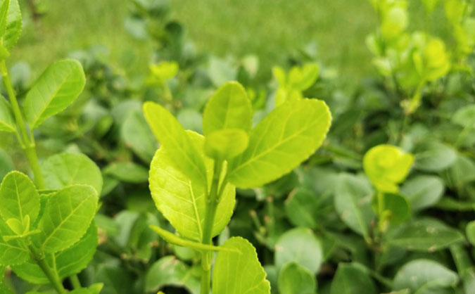 合肥中级经济师培训班_哪个好_多少钱