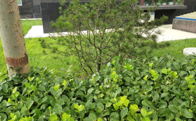 蚌埠中级经济师培训班_哪个好_多少钱