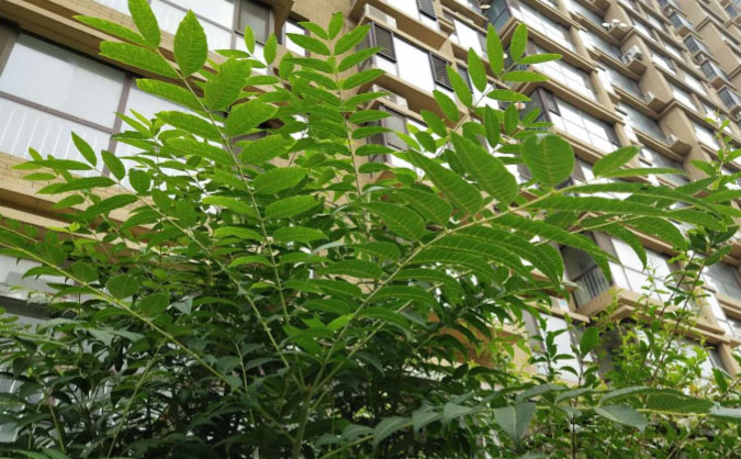 新乡中级经济师培训班_哪个好_多少钱