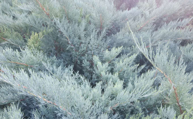 岳阳中级经济师培训班_哪个好_多少钱