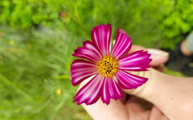 三门峡中级经济师培训班_哪个好_多少钱