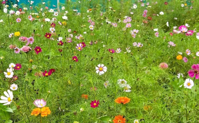 宜昌中级经济师培训班_哪个好_多少钱