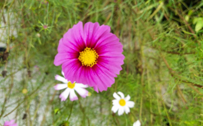 孝感中级经济师培训班_哪个好_多少钱