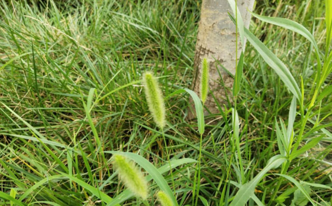 十堰中级经济师培训班_哪个好_多少钱