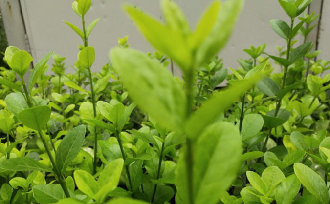 绵阳中级经济师培训班_哪个好_多少钱