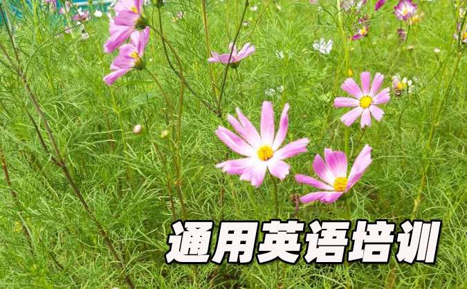 广州海珠区通用英语培训哪里好_价格