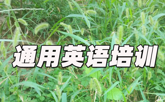 苏州工业园区通用英语培训哪里好_价格