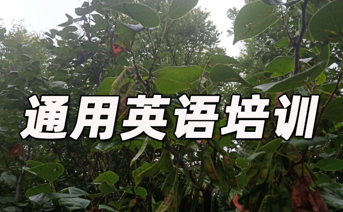 沈阳铁西区通用英语培训哪里好_价格