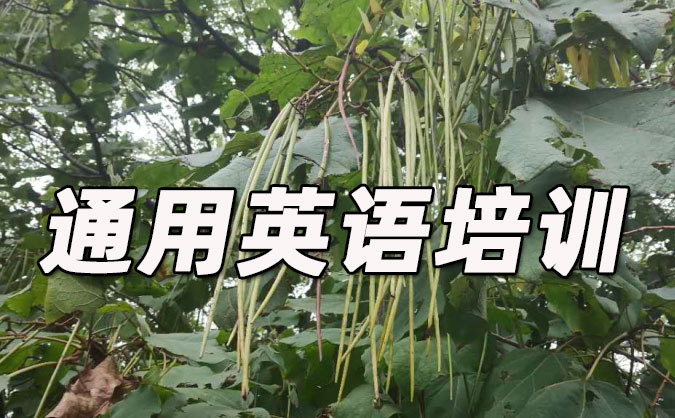 绍兴越城区通用英语培训哪里好_价格