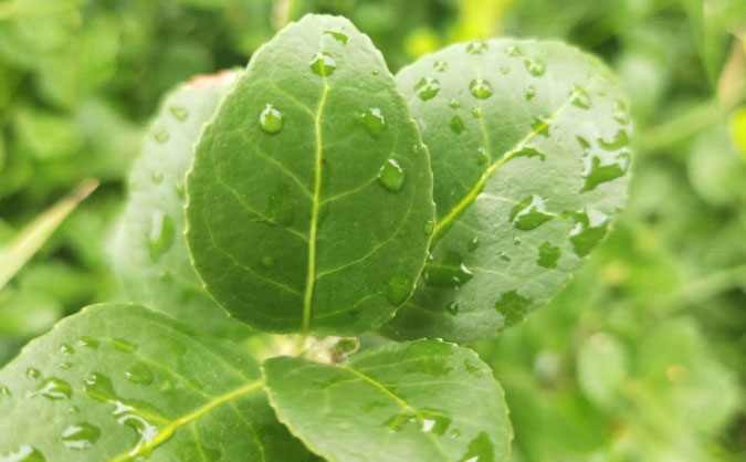 太原小店区web前端开发培训机构哪个好_需要多少钱